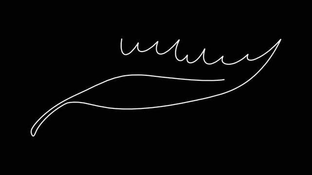 Minimalist hand drawn animation of white leaf shape appearing on dark black background creative motion graphic element.