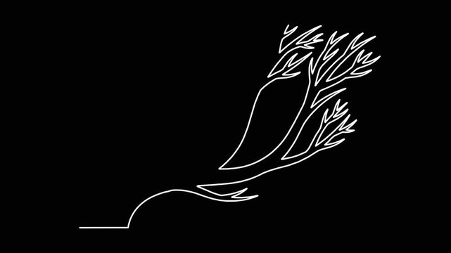 Minimalist white line art drawing of tree branch growing and retracting as continuous motion graphic on black background.