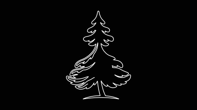 Minimalist white line art animation of pine tree drawing itself on black background for seasonal holiday design graphics.