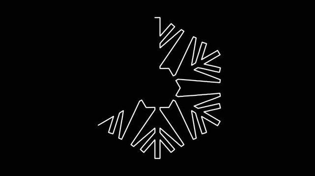 Minimalist white line snowflake drawing animation appearing and disappearing smoothly on solid black background studio clip.