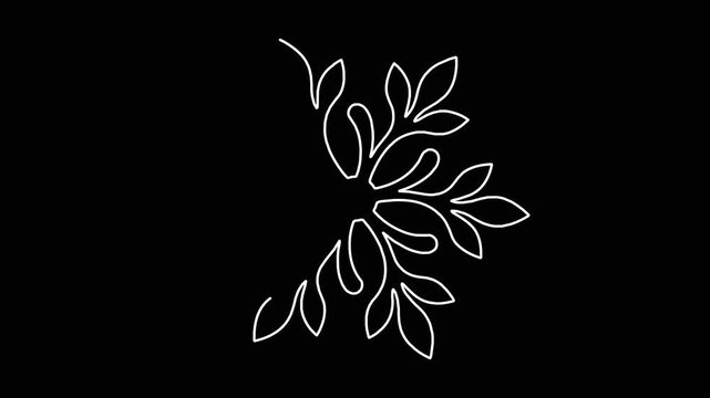 Abstract floral pattern outline animation drawing decorative geometric shape design element against solid black background.