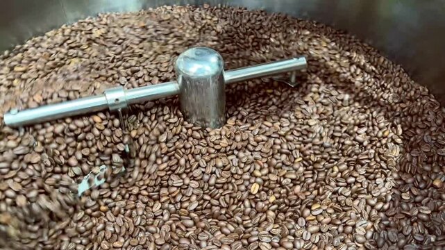 Fresh roasted coffee beans spinning in a professional roaster. Coffee Beans Roasting in Industrial Machine. 