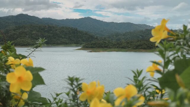 Scenic view of a tranquil lake and lush mountains in Thailand, framed by yellow flowers.