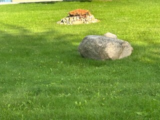 Green lawn with rocks and orange flowering mums © MISSY