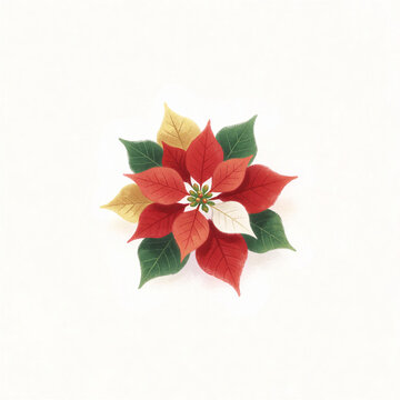 Festive poinsettia illustration with red green and gold leaves