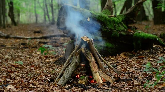 Thick smoke billowing over smoldering firewood pile in woods. Seamless loop motion background presenting soft ambient illumination and cinematic wilderness atmosphere.