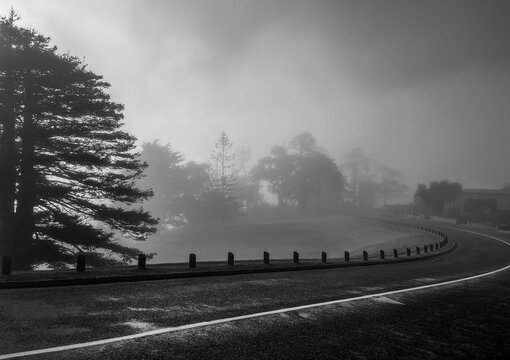 foggy morning in Howick