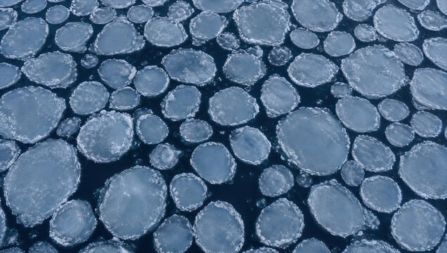 Pancake ice ocean aerial view shows round frozen floe texture in cold polar water, creating natural blue and white abstract pattern