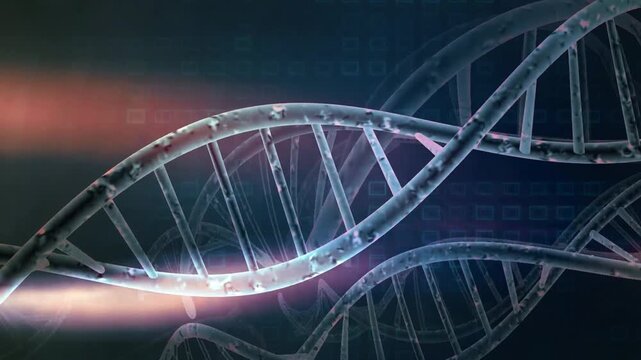 3D DNA Helix Strand Molecule Biology Science Animation