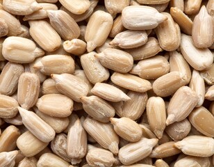Fototapeta premium Peeled sunflower seeds full frame background pattern 