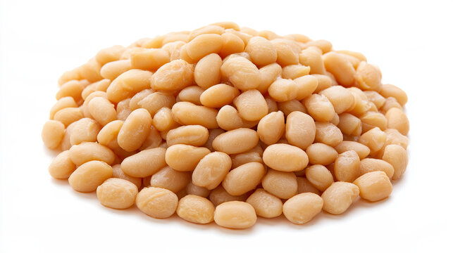 transparent navy beans cooked on white background