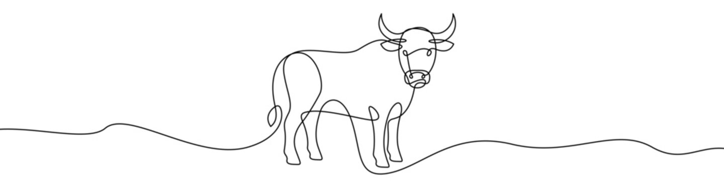 Continuous line art bull icon