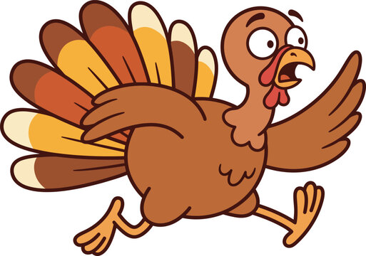 A funny cartoon turkey running away in a panic isolated on a white background for thanksgiving holiday
