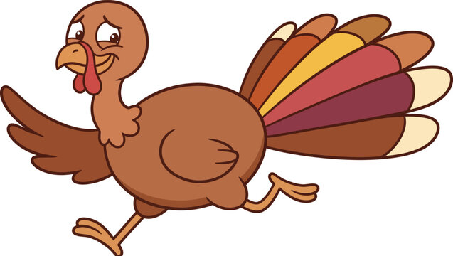 A funny cartoon turkey running away in a panic for thanksgiving holiday celebration on white background