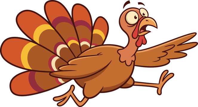 A funny cartoon turkey running away in a panic isolated on a plain white background for thanksgiving