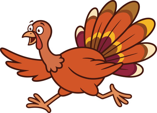 A funny cartoon turkey running away in a hurry isolated on a white background for thanksgiving holiday