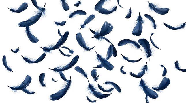 Bright blue feathers floating in circular motion against clean white background or Minimalist composition of vibrant blue feathers arranged in dynamic motion for greeting cards or branding.