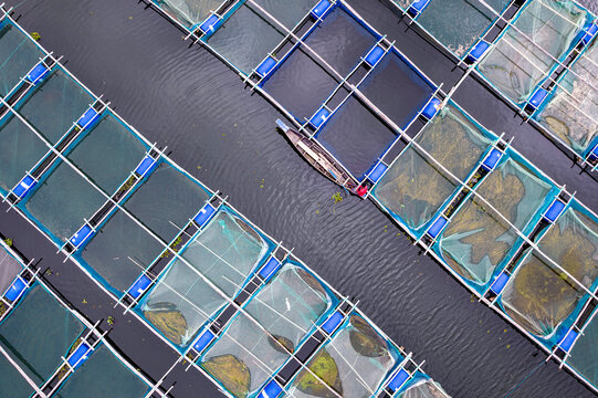 Floating Hatchery