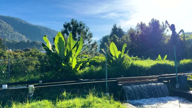 Rural trout farm discharging water in slow motion in sunlight, Zitacuaro