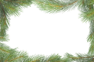 Obraz premium Christmas pine branch frame on a green background with space for text.