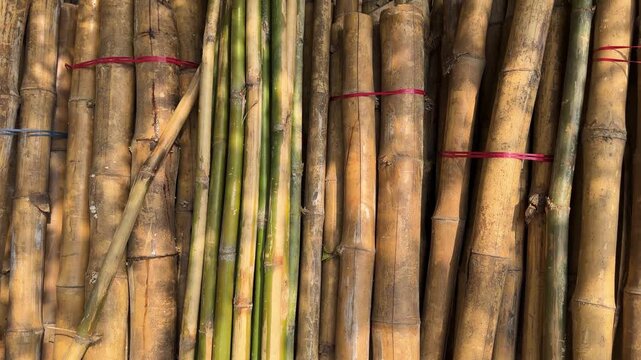 Stacked bamboo poles for construction and crafts 4k video footage