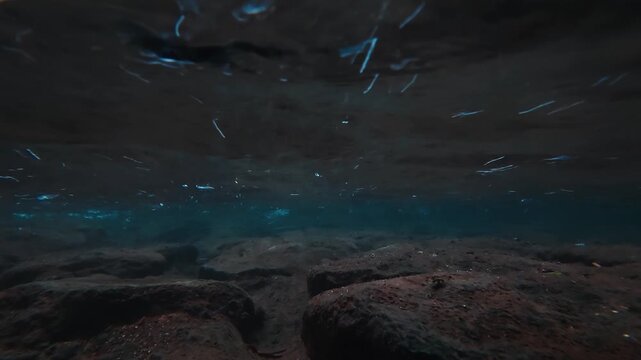 Underwater View of Fast Flowing Water Over Rocky Riverbed