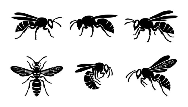 Insect Vector Icons: Wasp, Bee, and Hornet Silhouettes for Nature and Science Graphics