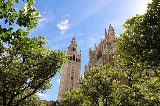 North facade and the Giralda, the bell tower of the Cathedral of Seville, Andalusia, Spain   