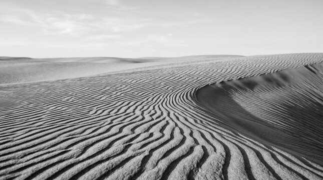 Desert dunes landscape with intricate ripple patterns for environmental and travel marketing