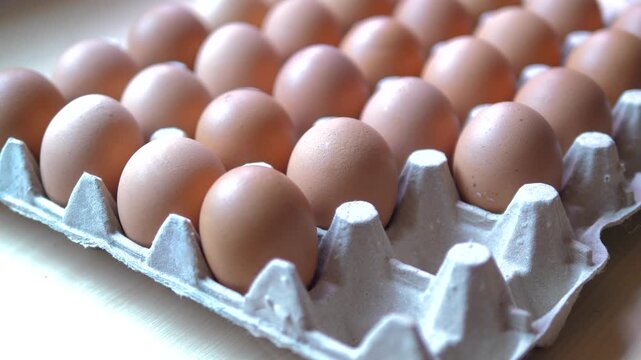 Close up hand of person pickup a fresh chicken egg in an egg tray