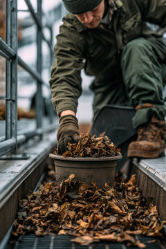 Man handles dried tobacco leaves in a rustic bowl