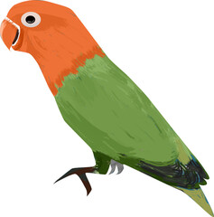 green winged macaw © refdika