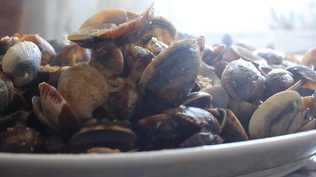 Delicious freshly cooked clams in a white plate with steam rising