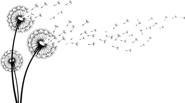Dandelion Silhouette with Flying Seeds, Blowing Wind Flower Vector Illustration   Dandelion Seeds Drifting in Wind Vector, Minimalist Floral Silhouette Clipart,Black Dandelion Silhouette Vector