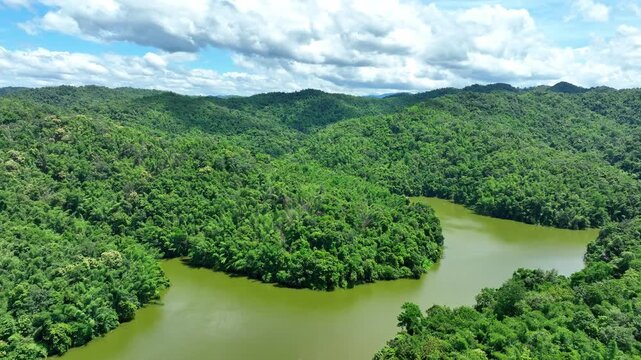 Aerial perspective shows a green mountain reservoir under a bright blue sky, illustrating protected watersheds, freshwater storage and harmony between water and forest. Phrae Province, Thailand. 4k.
