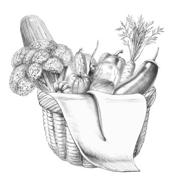 Hand-drawn illustration of a wicker basket with vegetables. An isolated pencil drawing suitable for vegetable shop branding, packaging, cooking classes, nutrition services, or vegan cafes.