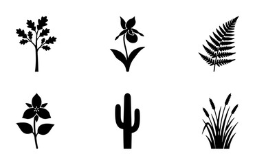 Fototapeta premium Botanical Icons Set: Oak Tree, Orchid, Fern, Trillium, Cactus, Grass Silhouettes