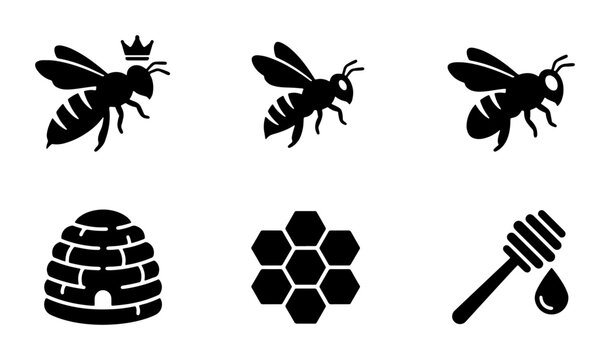 Bee Icons Set, Honeycomb, Hive, Droplet, Royal Insect Vector Graphics