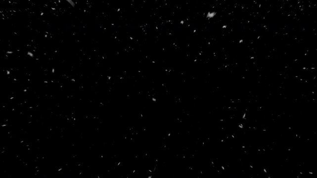 Light snow falling transparency animation loop.