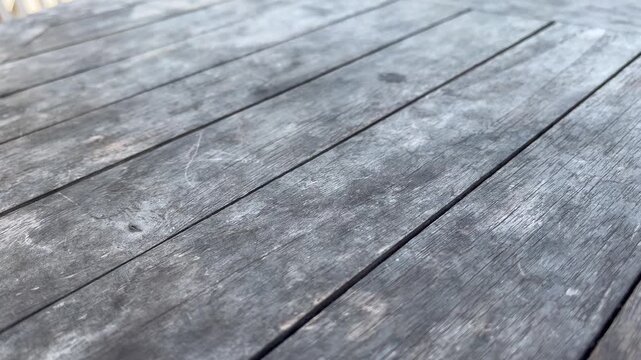 Natural sunlight on aged timber flooring with grain details