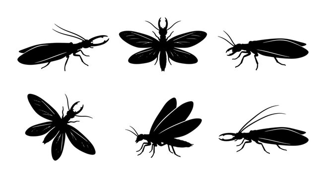 Termite Silhouettes, Insect Vector Icons, Pest Control Graphics, Six Black Winged Bugs