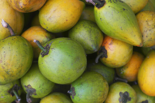 Many fresh lucuma fruits close up	