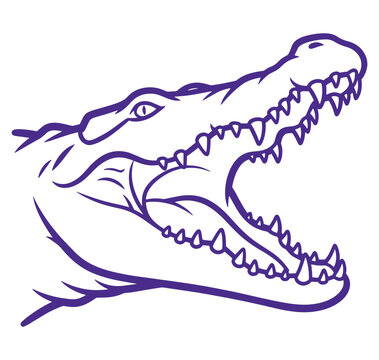 Purple alligator head with open mouth and sharp teeth side view  animal illustration