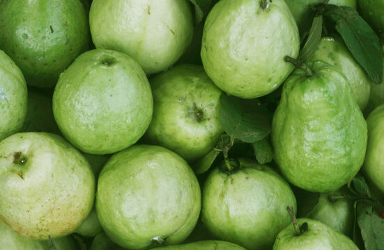 Many fresh guava fruits with leaves	