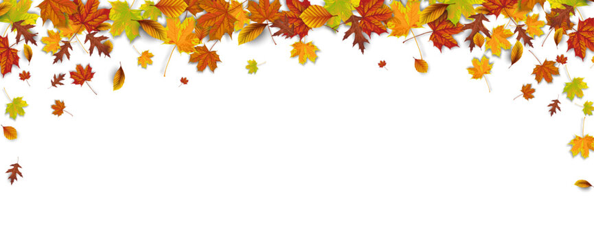 Autumn Foliage Fall Headline Shadows Transparent