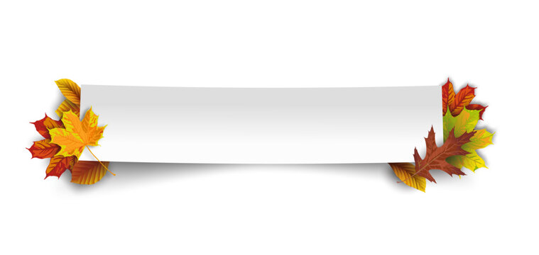 Paper Banner Autumn Foliage Real Transparent