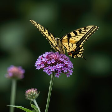 A stunning yellow and black swallowtail butterfly rests gently upon a vibrant purple bloom, showcasing delicate patterns and textures ,beautiful ,wildlife ,macro