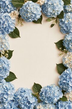 Hydrangea Hydrangea macrophylla blue flower frame border background design