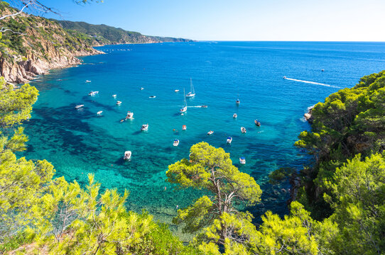 A bay with turquoise sea at Cala Futadera in Costa Brava coast in Spain
