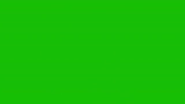 Digital Fingerprint Scan and Biometric Security Verification Animation Green Screen. 4K Resolution